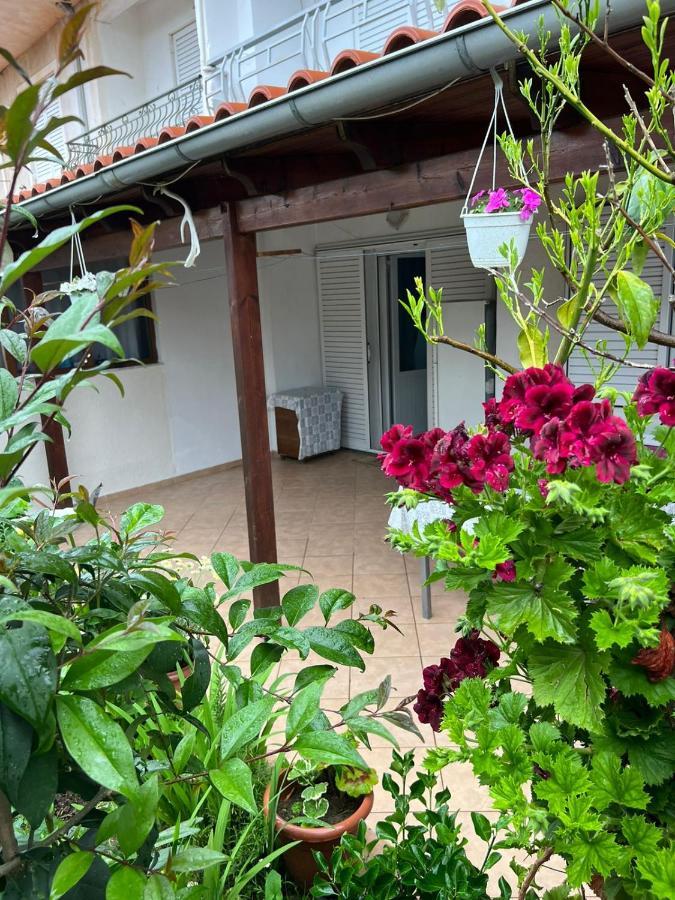 Goni Guest House ซารานเดอ ภายนอก รูปภาพ